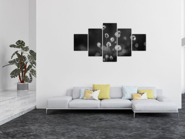 Obraz - Cottongrass na louce (125x70 cm)