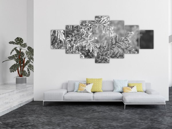 Obraz - Smrkový les (210x100 cm)