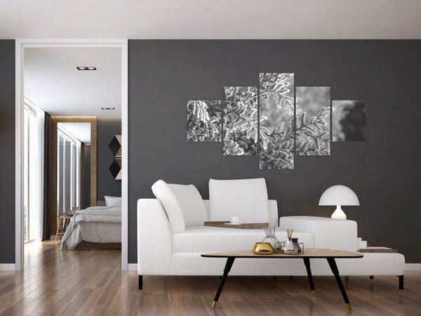 Obraz - Smrkový les (125x70 cm)