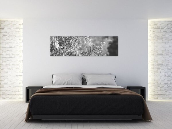 Obraz - Smrkový les (170x50 cm)