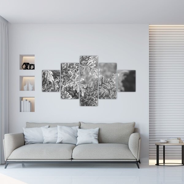 Obraz - Smrkový les (125x70 cm)