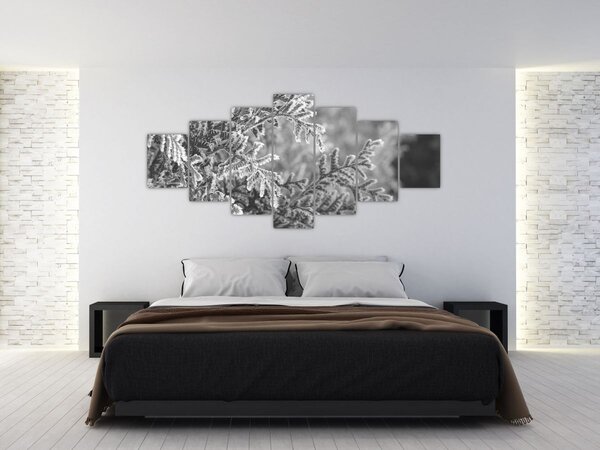 Obraz - Smrkový les (210x100 cm)