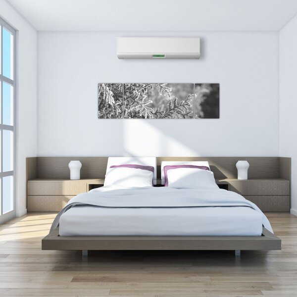 Obraz - Smrkový les (170x50 cm)