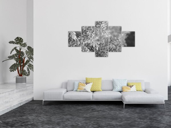 Obraz - Smrkový les (125x70 cm)