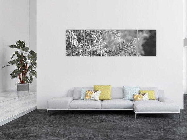 Obraz - Smrkový les (170x50 cm)