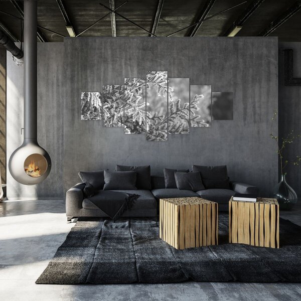 Obraz - Smrkový les (210x100 cm)