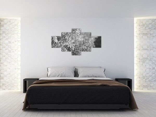 Obraz - Smrkový les (125x70 cm)