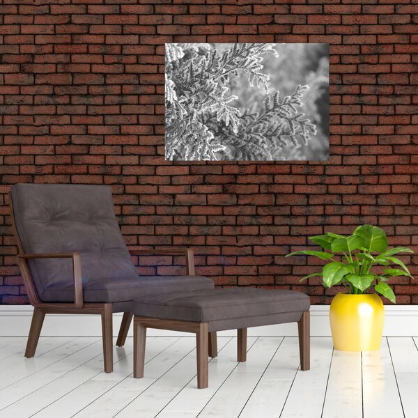 Obraz - Smrkový les (70x50 cm)