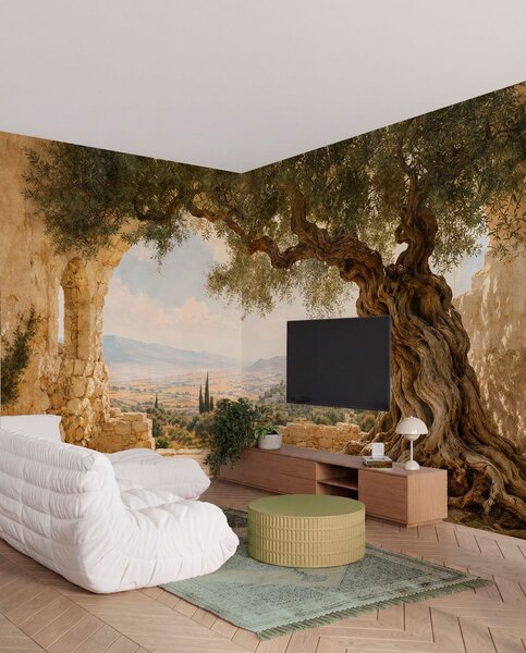 Fototapety Mezi olivovníky, Fototapety s přírodními motivy, w05896 : uwalls.cz