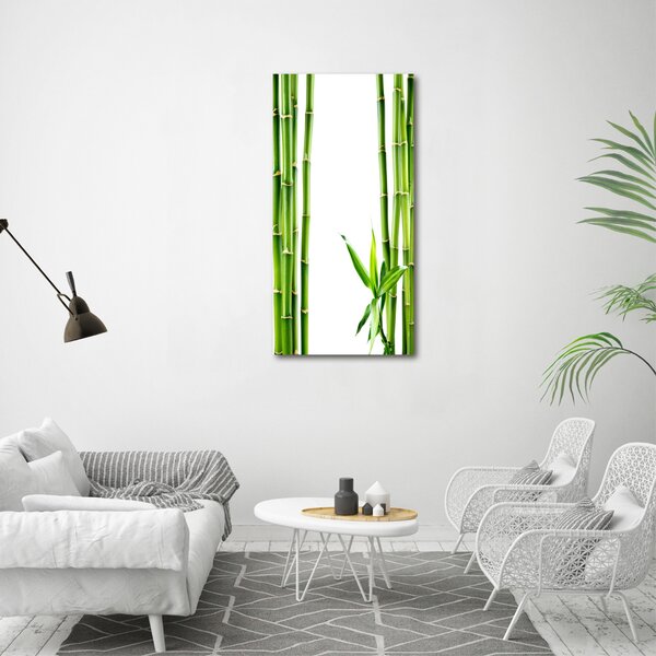 Vertikální Moderní fotoobraz canvas na rámu Bambus ocv-68827460