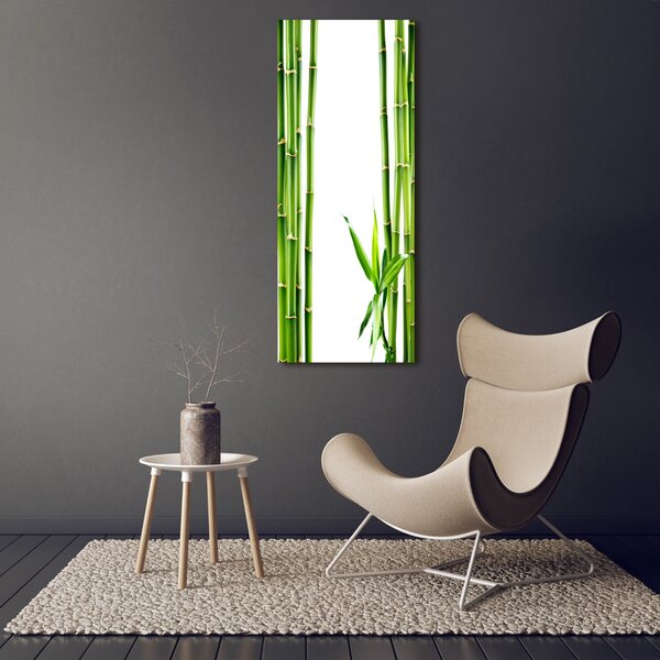 Vertikální Moderní fotoobraz canvas na rámu Bambus ocv-68827460