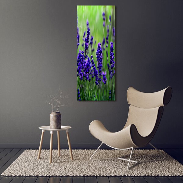 Vertikální Foto obraz canvas Pole levandule ocv-68986983