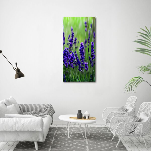 Vertikální Foto obraz canvas Pole levandule ocv-68986983