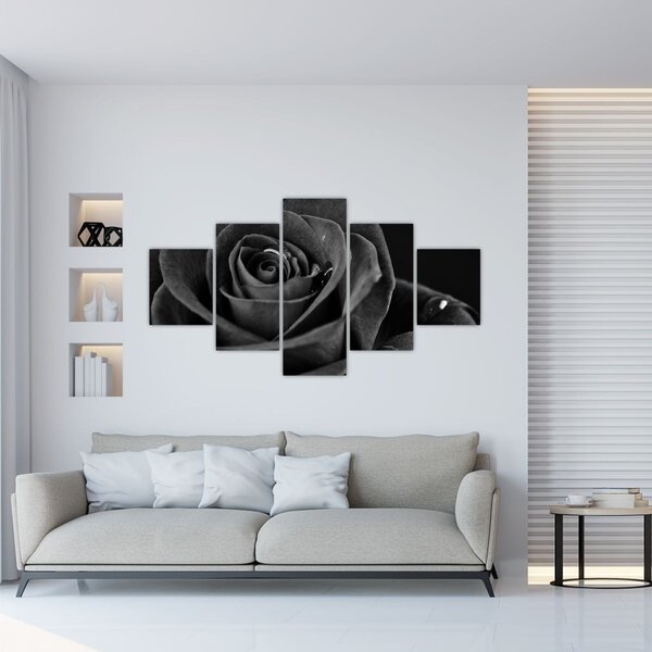 Obraz - Rudá růže (125x70 cm)