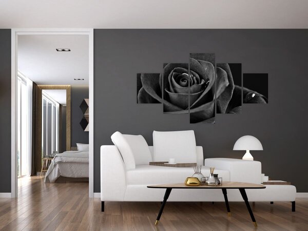 Obraz - Rudá růže (125x70 cm)