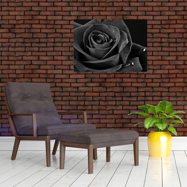 Obraz - Rudá růže (70x50 cm)