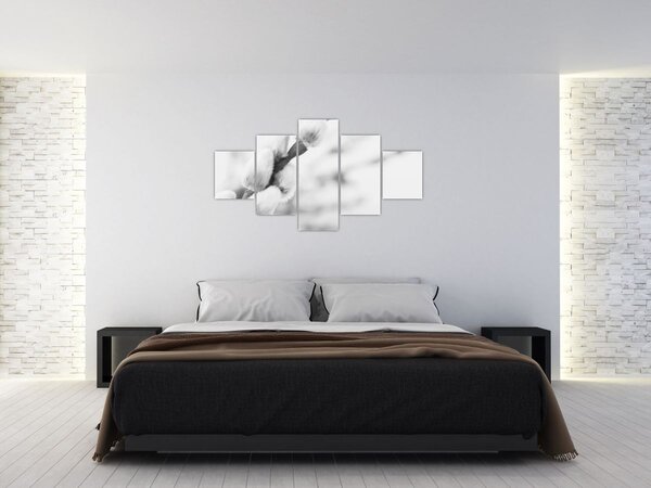 Obraz - Začátek jara (125x70 cm)