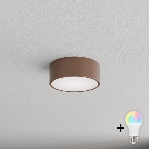 BRILAGI - LED RGBW Stropní svítidlo CLARE 1xE27/12W/230V pr. 20 cm hnědá