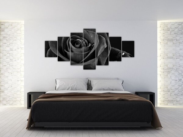 Obraz - Rudá růže (210x100 cm)