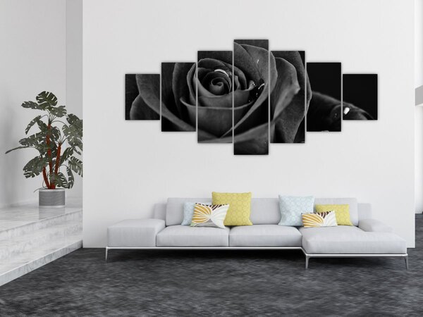 Obraz - Rudá růže (210x100 cm)
