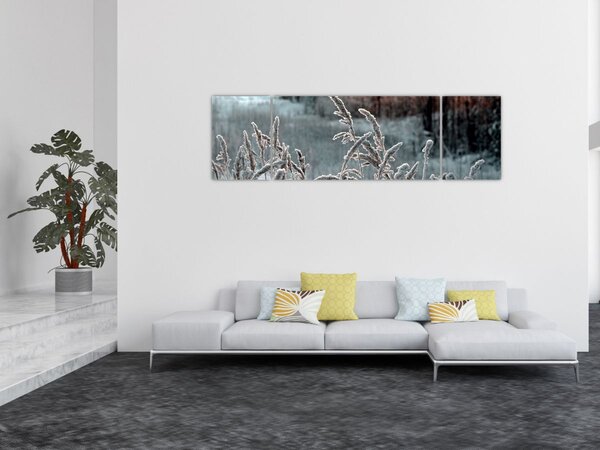Obraz - Zamrzlá louka (170x50 cm)