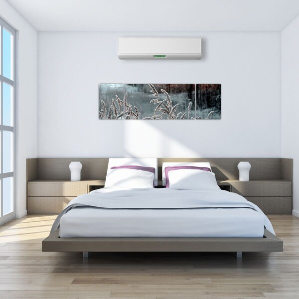 Obraz - Zamrzlá louka (170x50 cm)