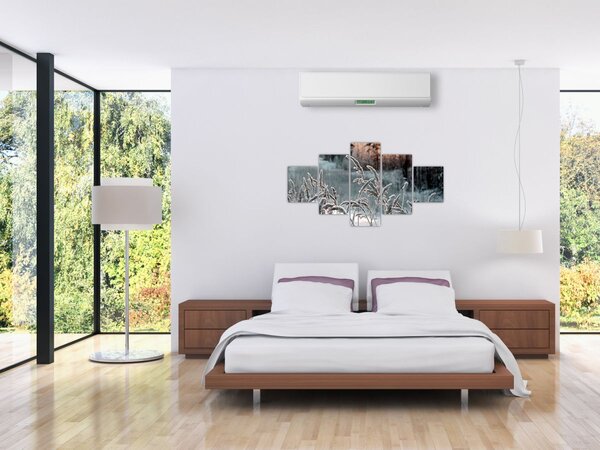 Obraz - Zamrzlá louka (125x70 cm)