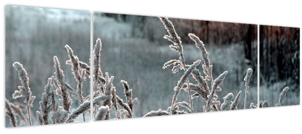 Obraz - Zamrzlá louka (170x50 cm)