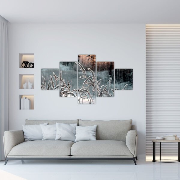 Obraz - Zamrzlá louka (125x70 cm)