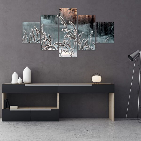 Obraz - Zamrzlá louka (125x70 cm)
