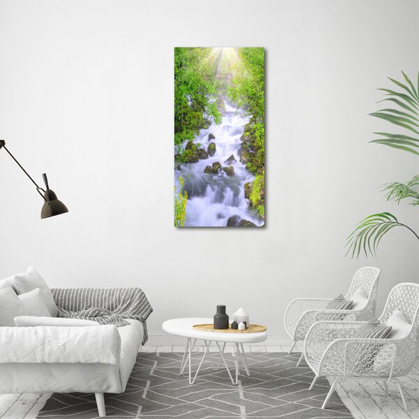Vertikální Foto obraz canvas Horský potok ocv-69563755