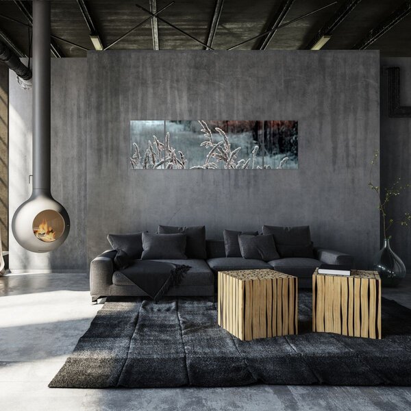 Obraz - Zamrzlá louka (170x50 cm)