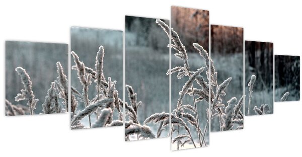 Obraz - Zamrzlá louka (210x100 cm)