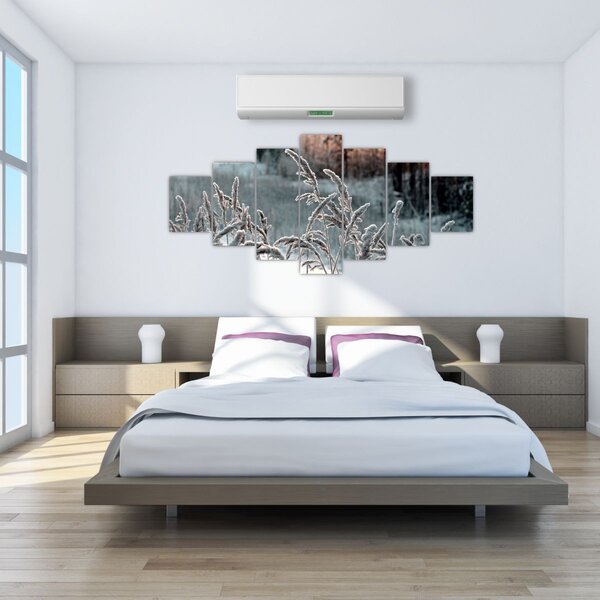 Obraz - Zamrzlá louka (210x100 cm)