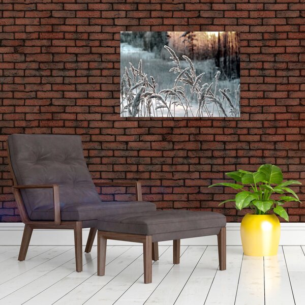 Obraz - Zamrzlá louka (70x50 cm)