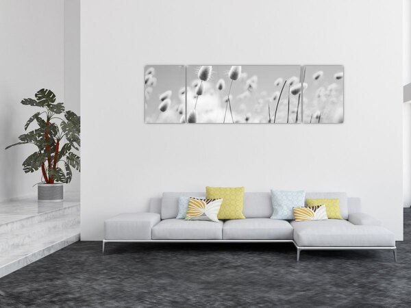 Obraz - Boho bunny tail grass (170x50 cm)
