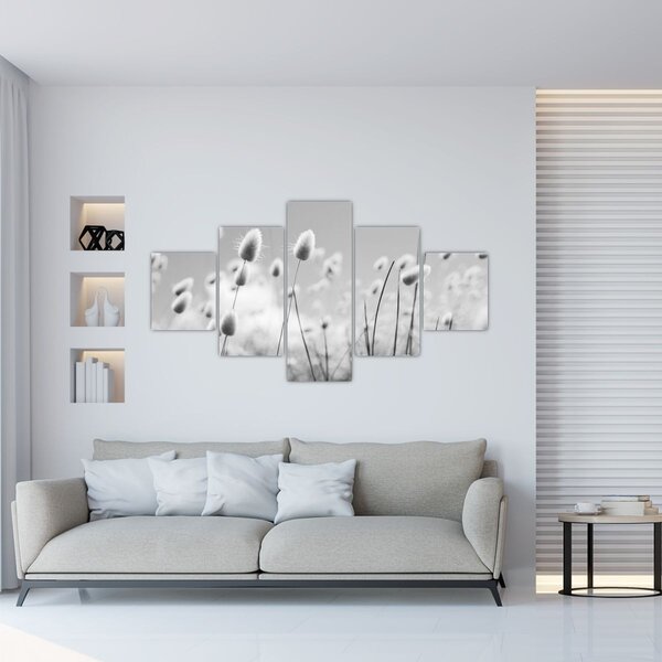 Obraz - Boho bunny tail grass (125x70 cm)