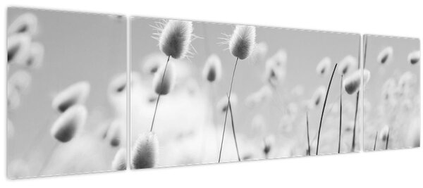 Obraz - Boho bunny tail grass (170x50 cm)