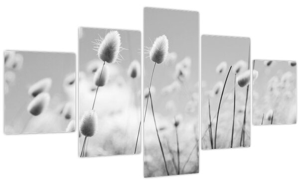 Obraz - Boho bunny tail grass (125x70 cm)