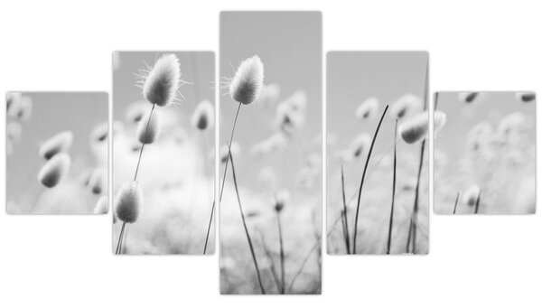Obraz - Boho bunny tail grass (125x70 cm)