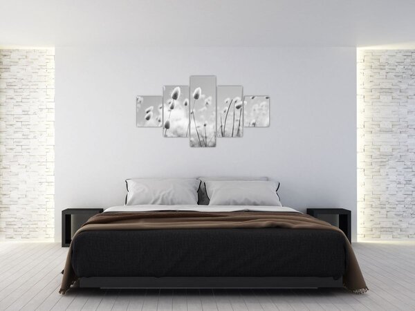 Obraz - Boho bunny tail grass (125x70 cm)