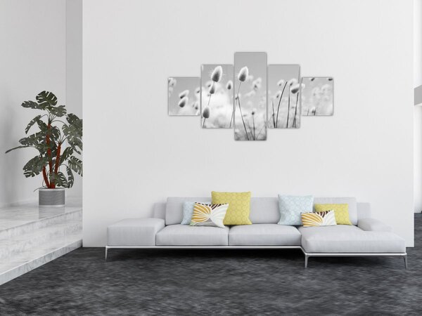 Obraz - Boho bunny tail grass (125x70 cm)