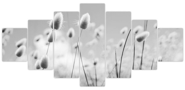 Obraz - Boho bunny tail grass (210x100 cm)