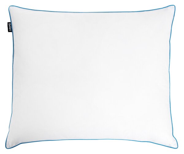 Polštář ANETO Vysoká 50 x 60 cm Kachní peří a chmýří Bílá