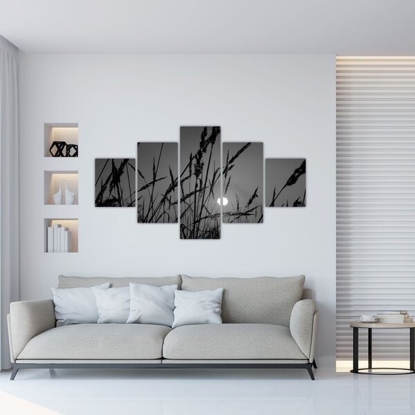 Obraz - Louka se západem slunce (125x70 cm)