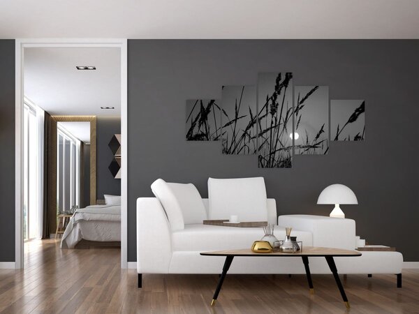 Obraz - Louka se západem slunce (125x70 cm)