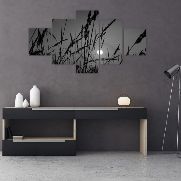 Obraz - Louka se západem slunce (125x70 cm)