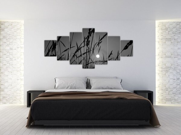 Obraz - Louka se západem slunce (210x100 cm)