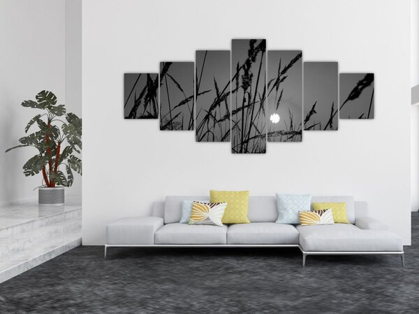 Obraz - Louka se západem slunce (210x100 cm)