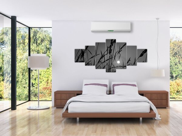 Obraz - Louka se západem slunce (210x100 cm)